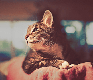 測繪CAD丨批量標注坐標，你不需要嗎？